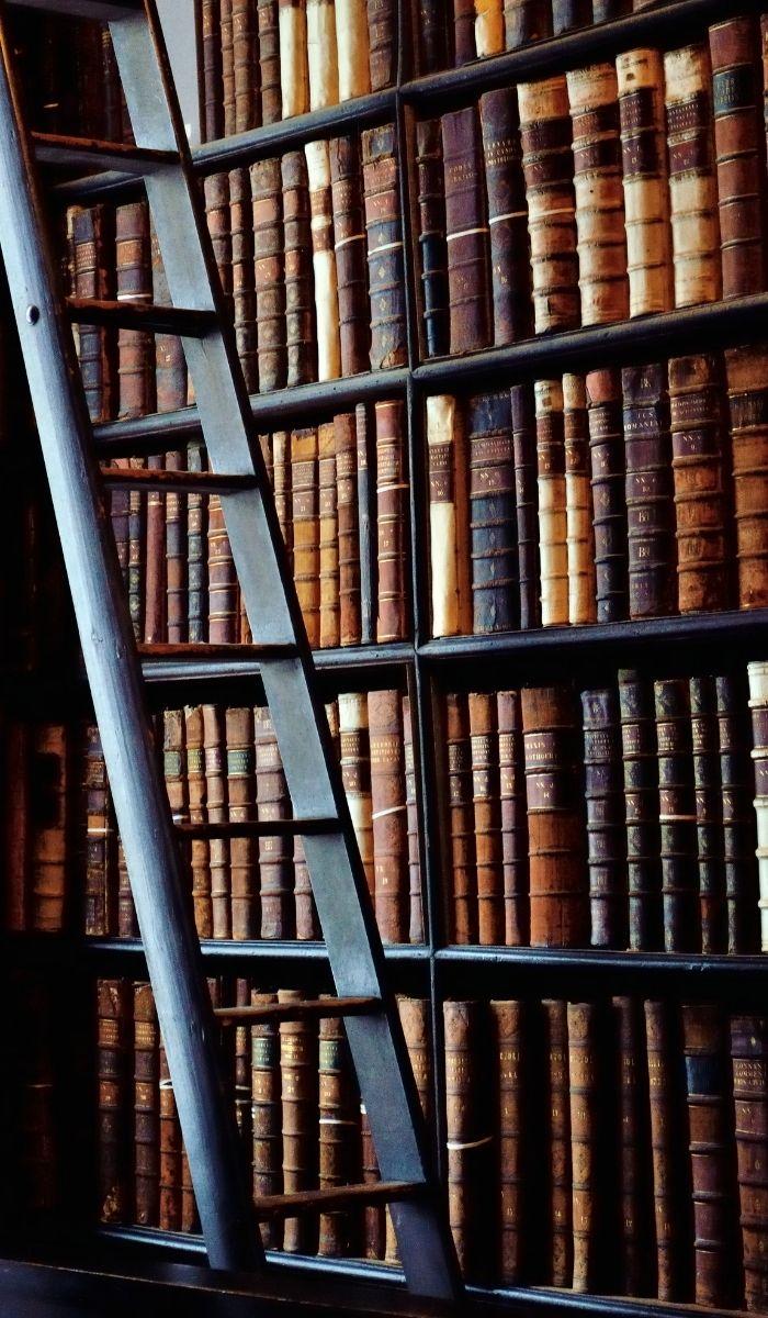bookshelf with ladder