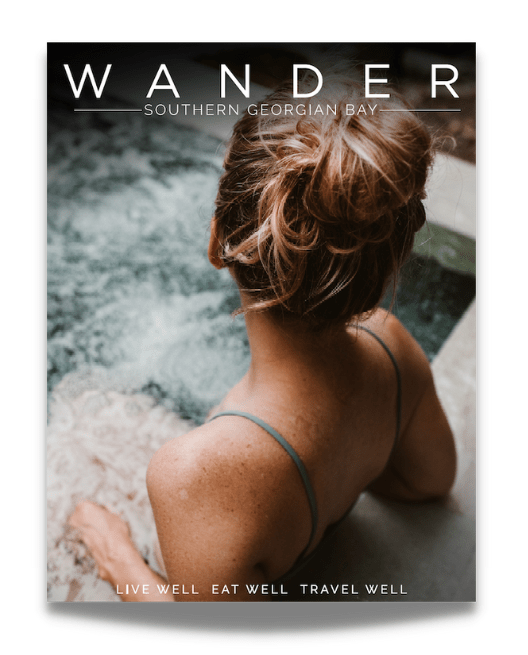 wander SGB cover