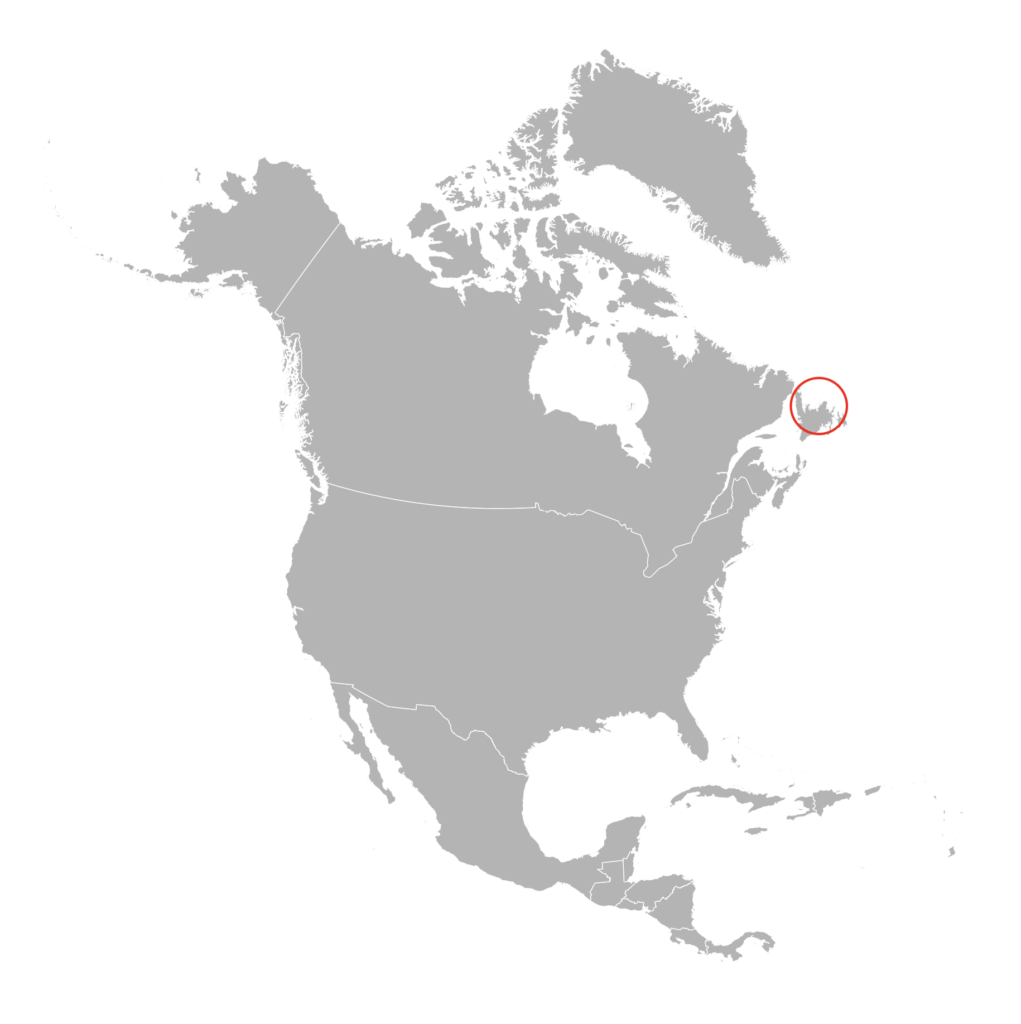 map showing fogo island