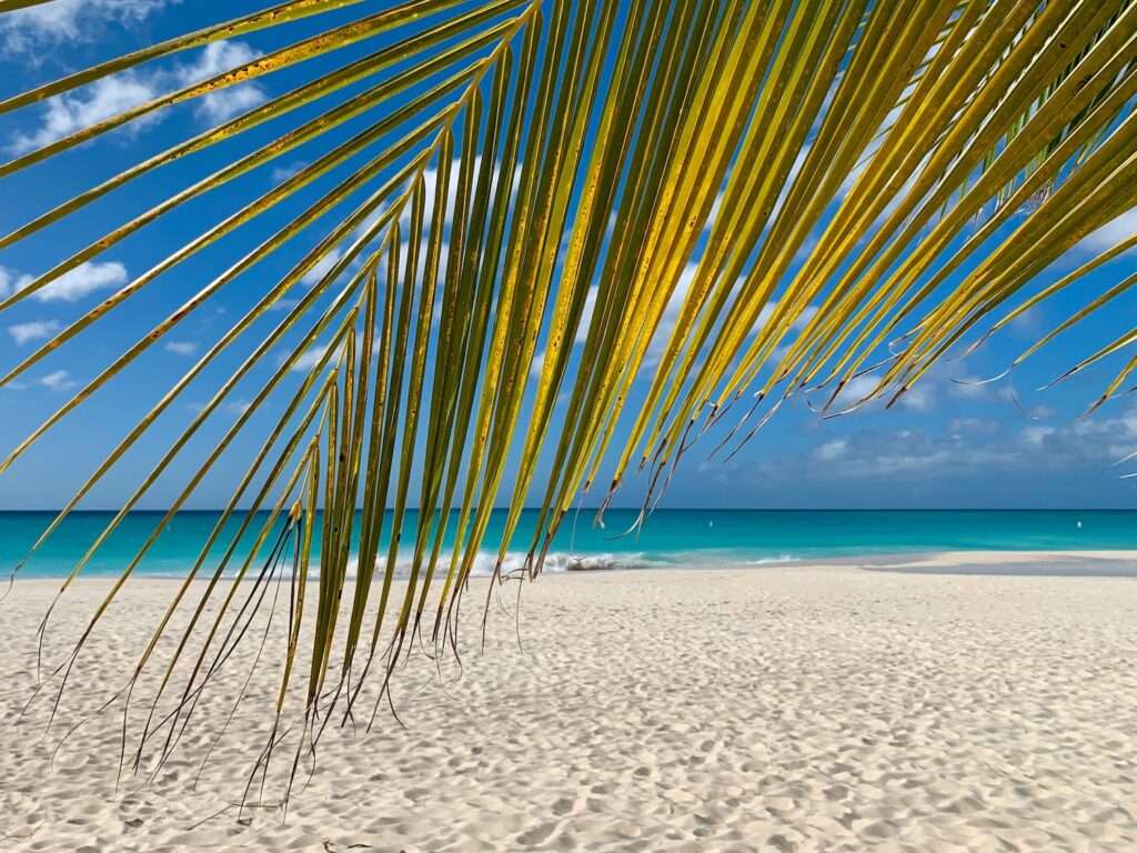 nude Caribbean beach